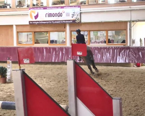 Reitturnier Eicherloh RH Laurent 2017