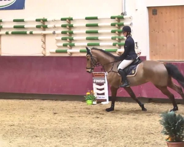 Reitturnier Eicherloh RH Laurent 2017