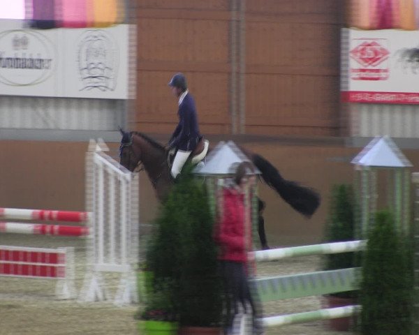 Reitturnier Altenberge 2017
