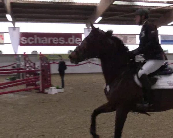 Reitturnier Rhede-Krommert 2017