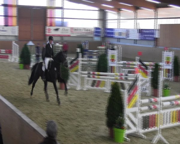 Reitturnier Altenberge 2017