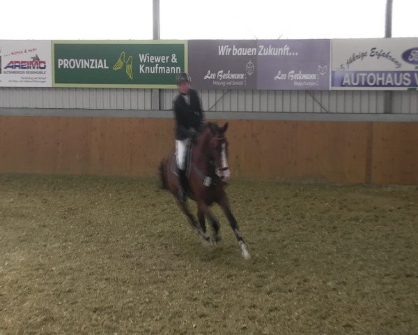 Reitturnier Altenberge 2017