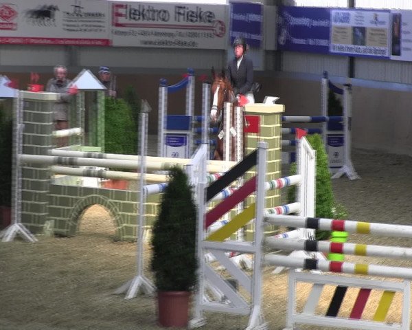Reitturnier Altenberge 2017
