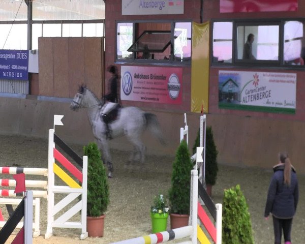 Reitturnier Altenberge 2017