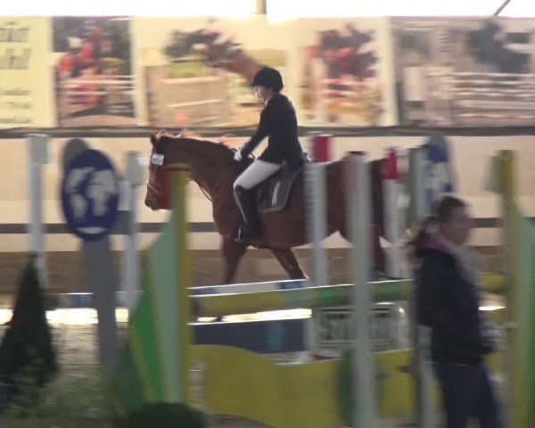 Reitturnier Lindlar-Süttenbach 2017