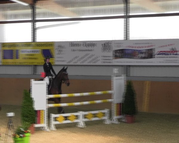 Reitturnier Altenberge 2017