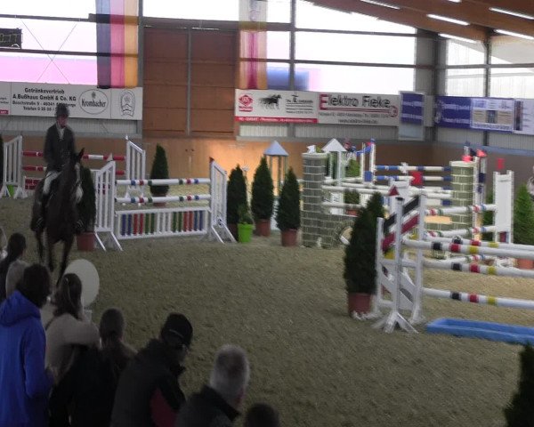 Reitturnier Altenberge 2017