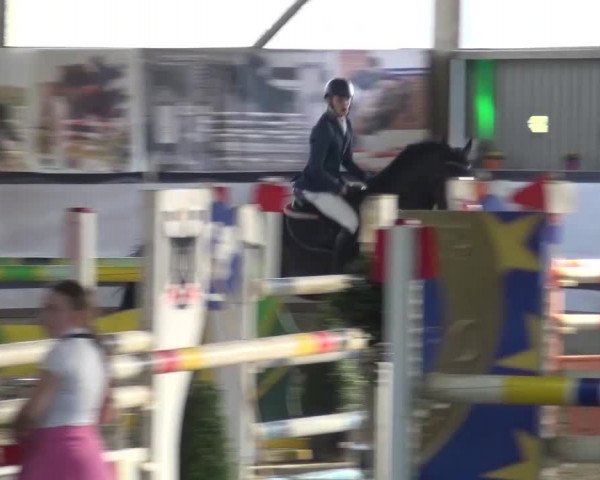 Reitturnier Lindlar-Süttenbach 2017