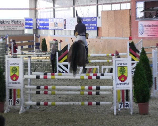 Reitturnier Altenberge 2017