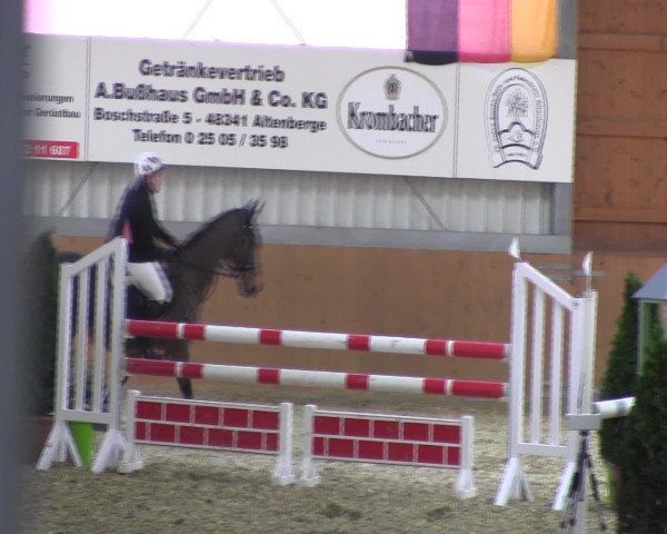 Reitturnier Altenberge 2017