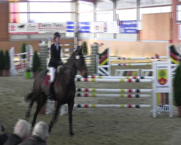 Reitturnier Altenberge 2017