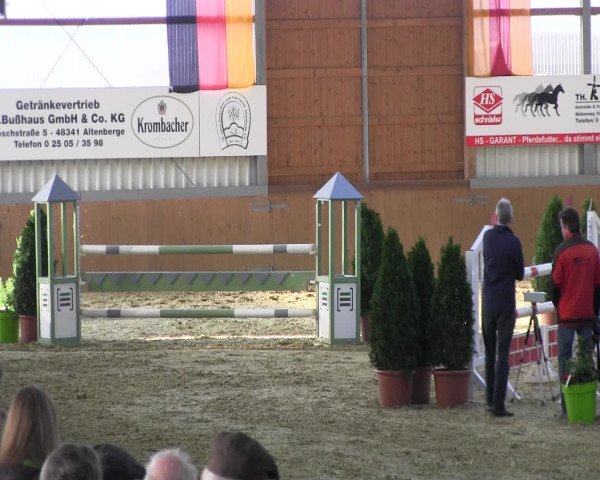 Reitturnier Altenberge 2017
