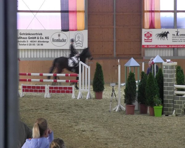 Reitturnier Altenberge 2017