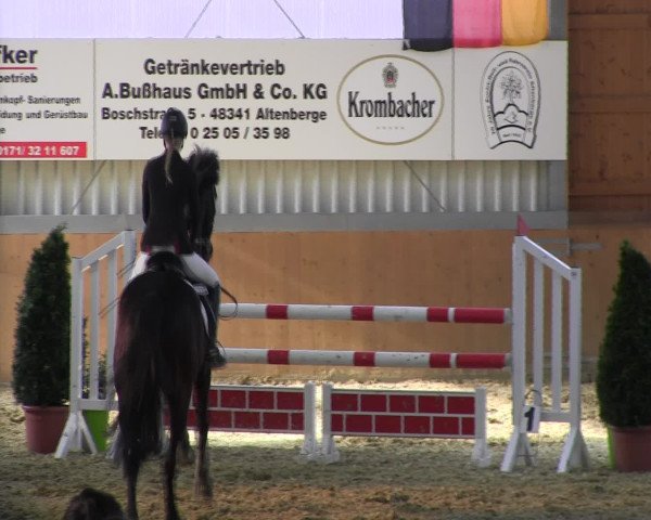 Reitturnier Altenberge 2017