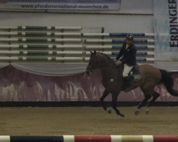 Reitturnier Eicherloh RH Laurent 2017