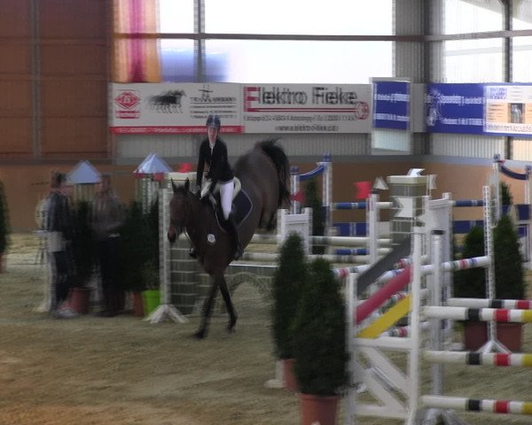 Reitturnier Altenberge 2017