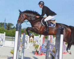 broodmare Diora de Goedereede (Belgian Warmblood, 2003, from Heartbreaker)