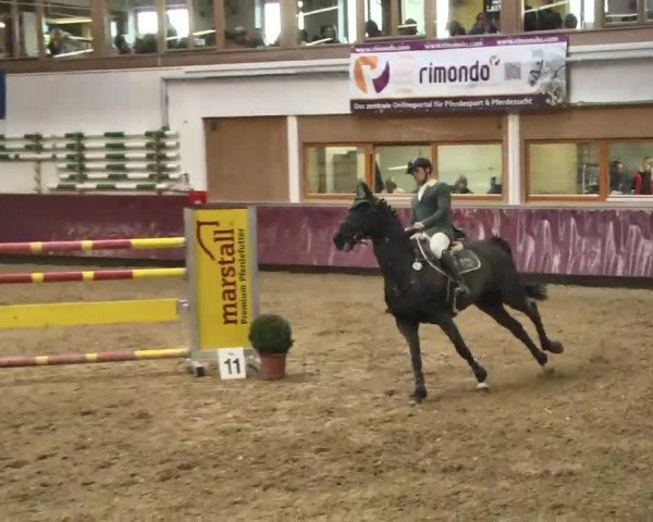 Reitturnier Eicherloh RH Laurent 2017