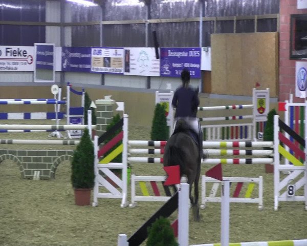 Reitturnier Altenberge 2017