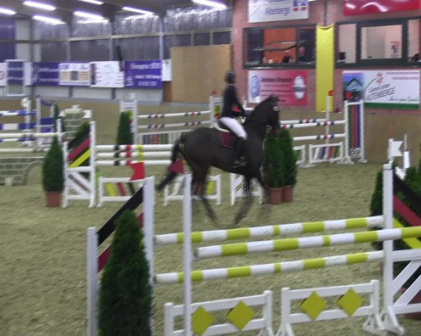 Reitturnier Altenberge 2017