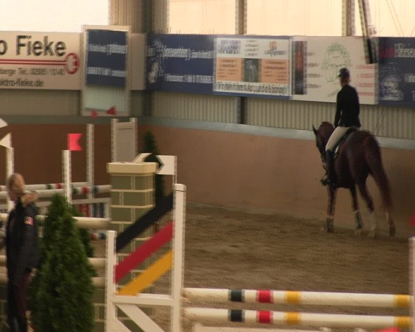 Reitturnier Altenberge 2017