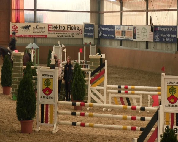 Reitturnier Altenberge 2017