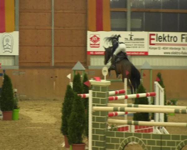 Reitturnier Altenberge 2017