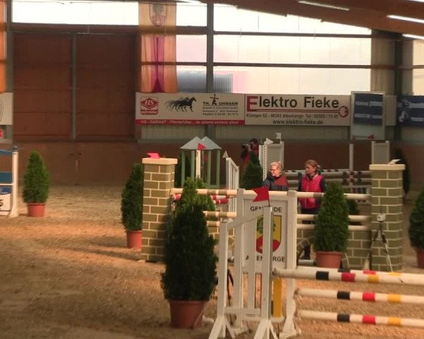 Reitturnier Altenberge 2017