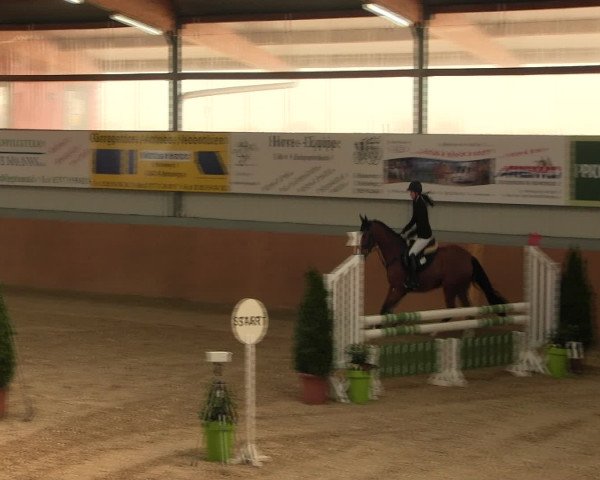 Reitturnier Altenberge 2017