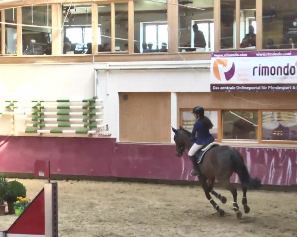Reitturnier Eicherloh RH Laurent 2017