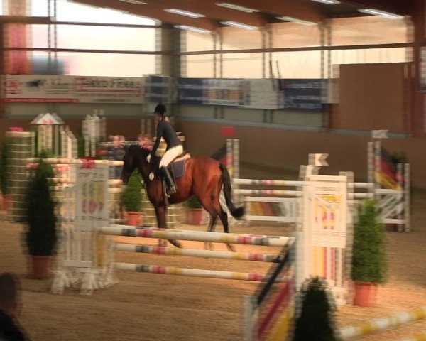 Reitturnier Altenberge 2017
