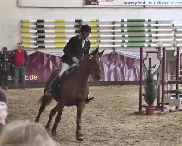 Reitturnier Eicherloh RH Laurent 2017