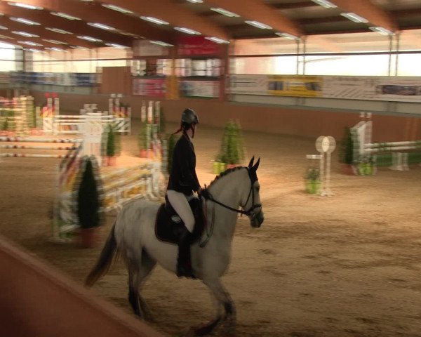 Reitturnier Altenberge 2017
