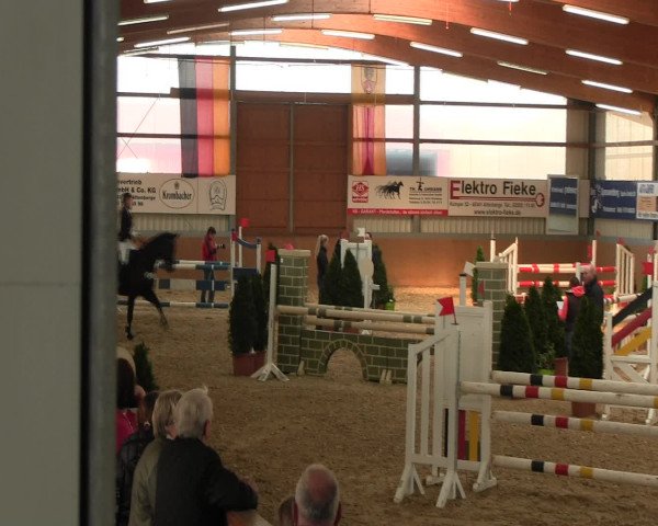 Reitturnier Altenberge 2017