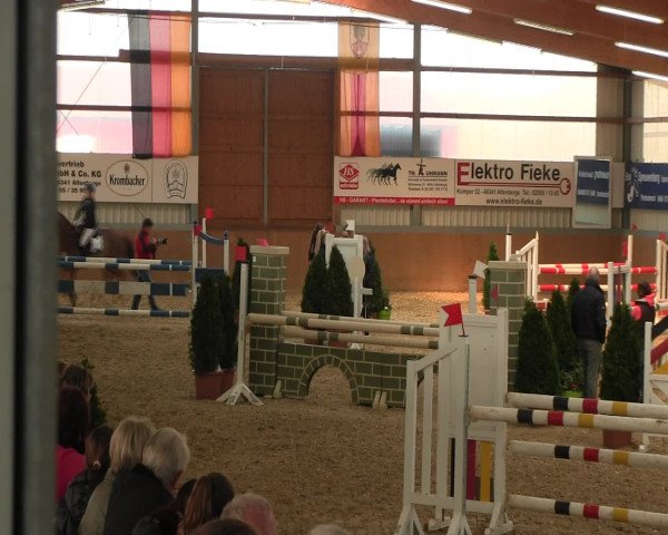 Reitturnier Altenberge 2017