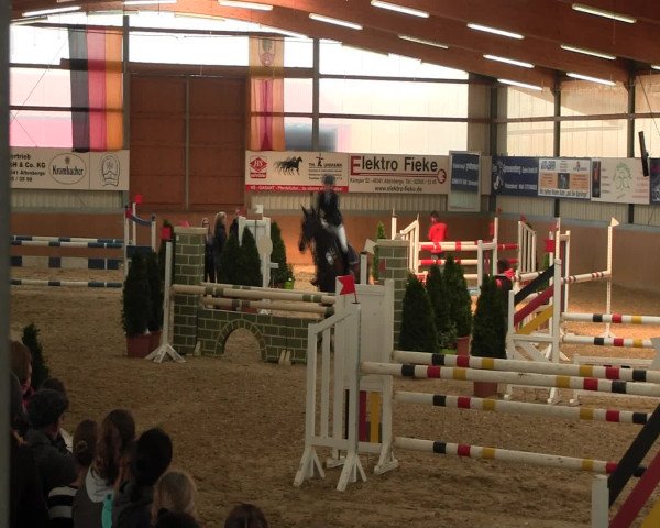 Reitturnier Altenberge 2017