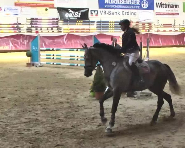 Reitturnier Eicherloh RH Laurent 2017