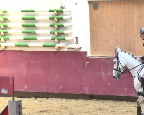 Reitturnier Eicherloh RH Laurent 2017