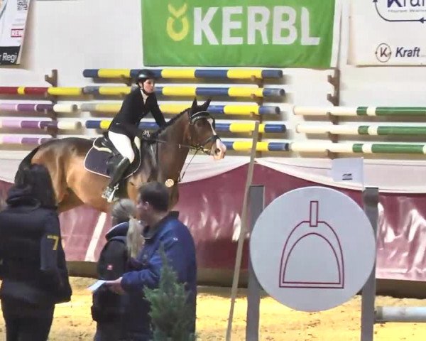 Reitturnier Eicherloh RH Laurent 2017