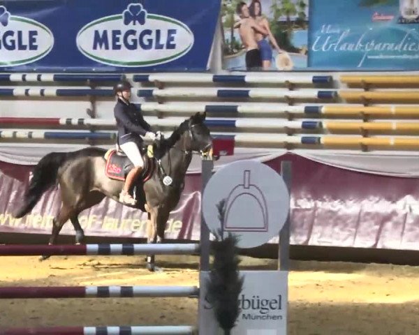 Reitturnier Eicherloh RH Laurent 2017