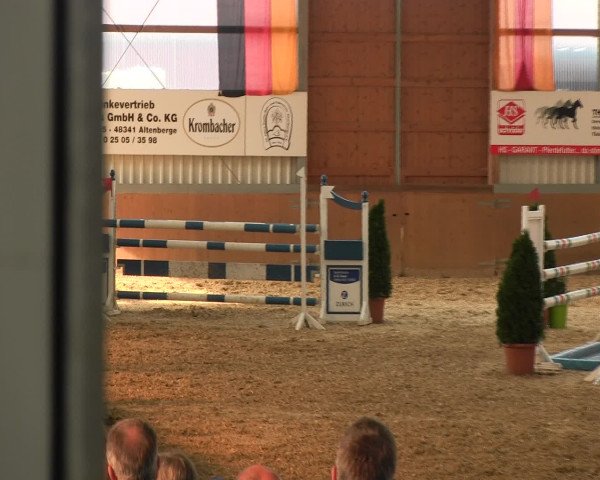 Reitturnier Altenberge 2017