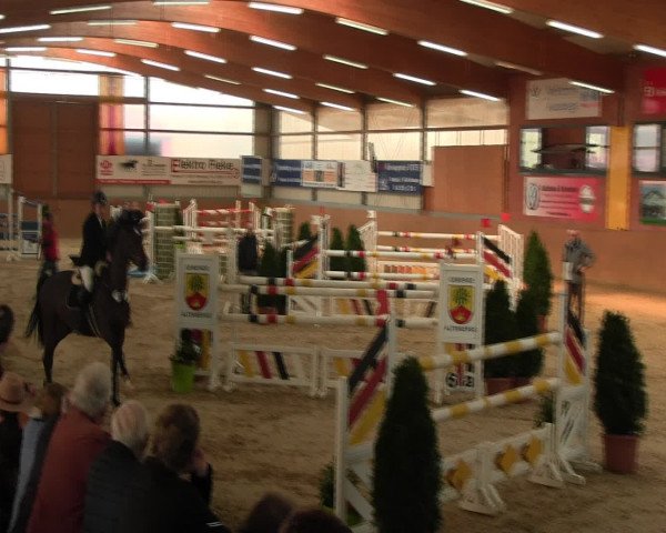 Reitturnier Altenberge 2017