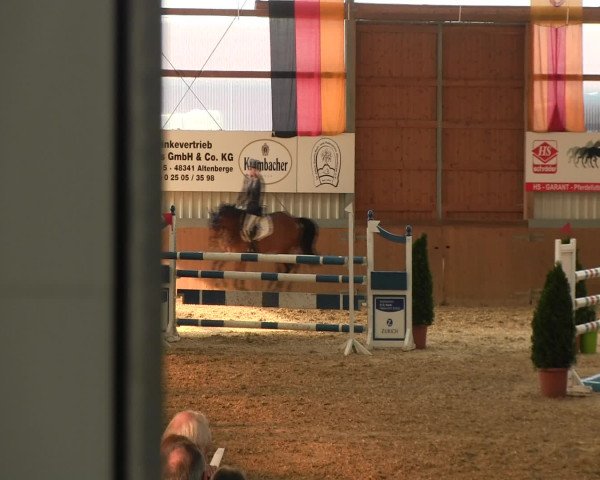 Reitturnier Altenberge 2017