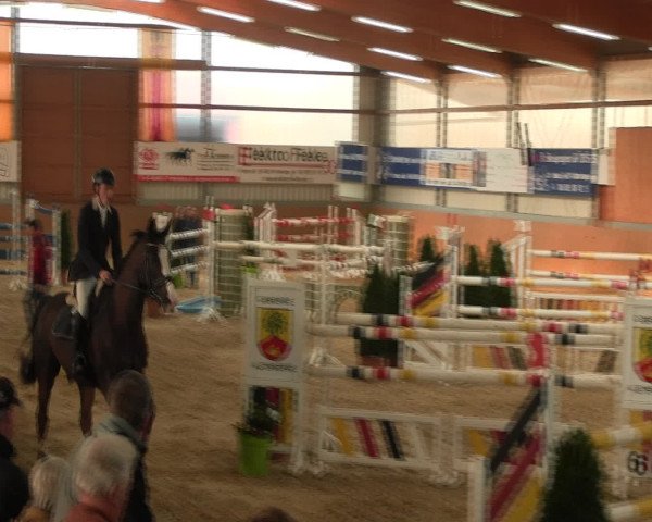 Reitturnier Altenberge 2017