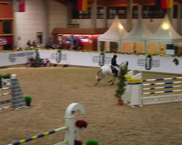 Christmas Jumping Trophy Prussendorf 2021