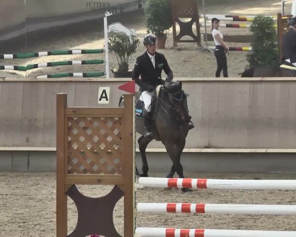 Reitturnier Walldorf 2017