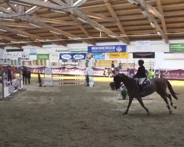 Reitturnier Eicherloh RH Laurent 2017