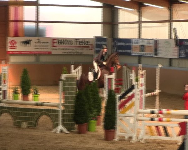Reitturnier Altenberge 2017