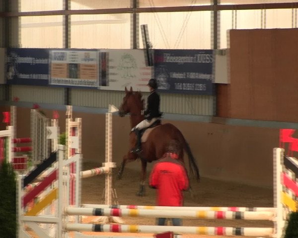 Reitturnier Altenberge 2017