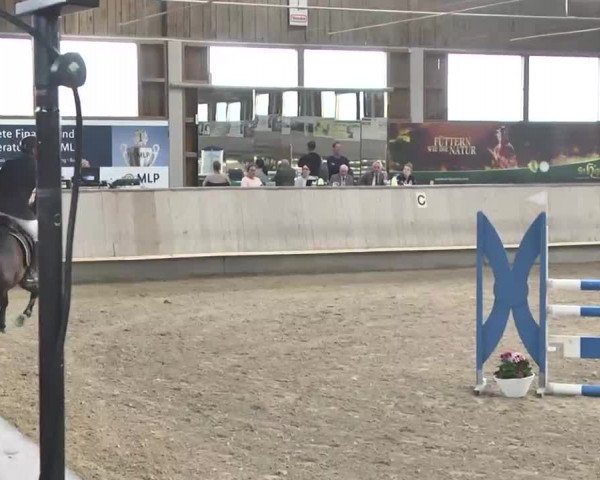 Reitturnier Walldorf 2017